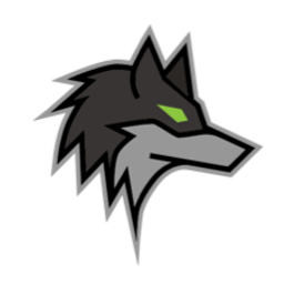 Dark Wolf Solutions