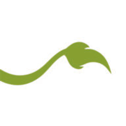 Lionheart Children's Academy
