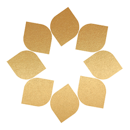 Solaris HealthCare